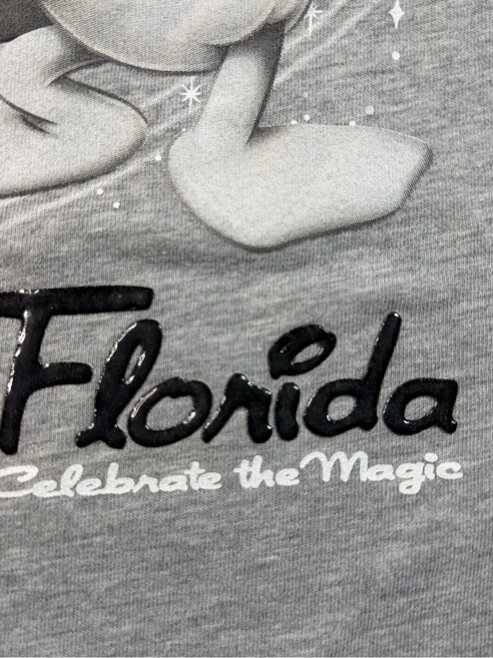 Disney Gray Mickey, Donald & Goofy Florida Graphic Tee - Picture 3 of 9